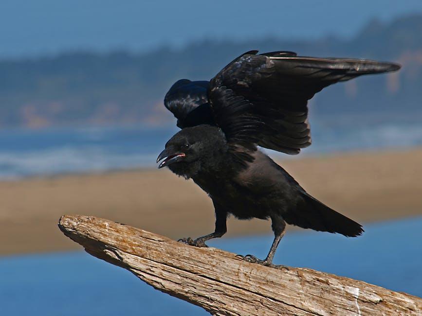 The Impact of The‌ Raven‌ on American Literature